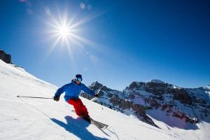 Ski